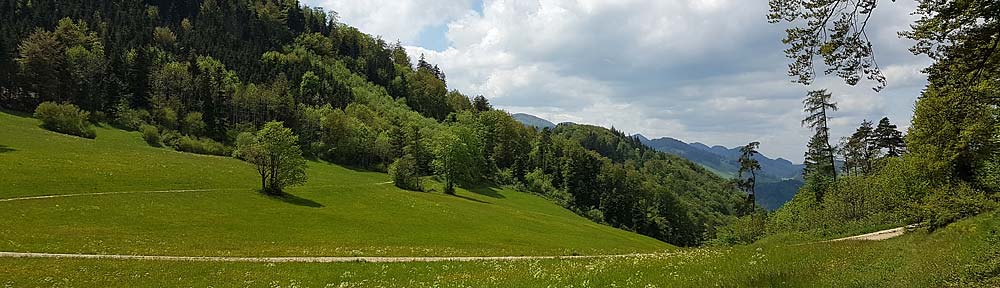 Verband Basellandschaftlicher Bürgergemeinden