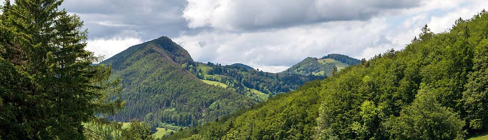 Verband Basellandschaftlicher Bürgergemeinden