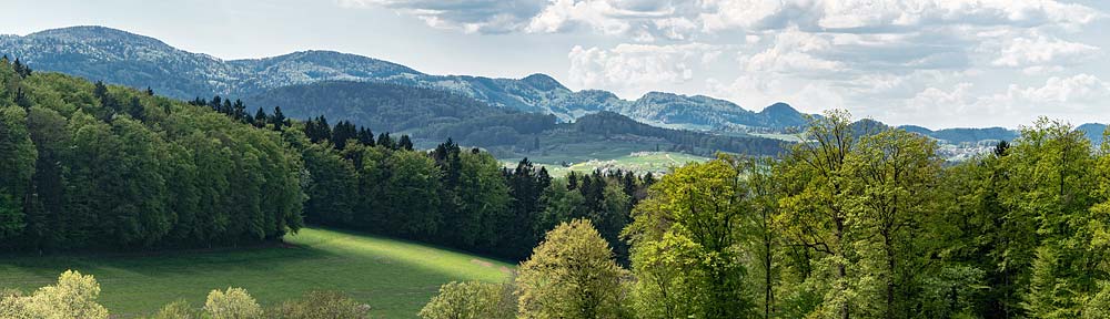 Verband Basellandschaftlicher Bürgergemeinden