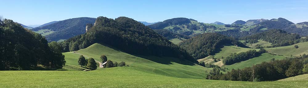 Verband Basellandschaftlicher Bürgergemeinden