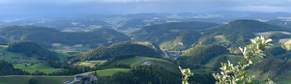 Verband Basellandschaftlicher Bürgergemeinden