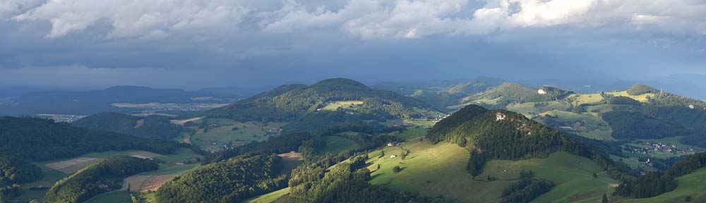 Verband Basellandschaftlicher Bürgergemeinden