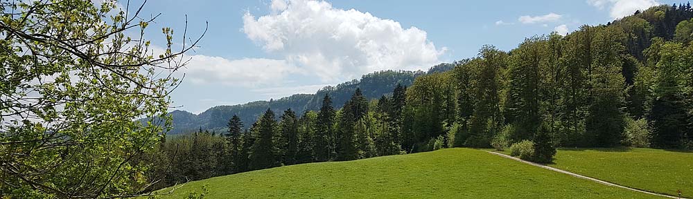 Verband Basellandschaftlicher Bürgergemeinden